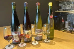 Discover the bounties of nature and tradition #1: Hokkaido Winery Tour – A Relaxing Day Trip from Sapporo in Early Autumn 2024
