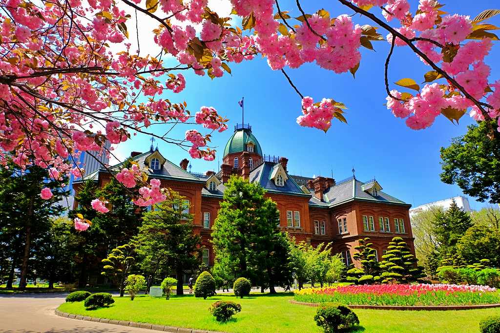 札幌のシンボルの一つ、北海道庁赤れんが庁舎と前庭に咲き乱れる色彩豊かな花々