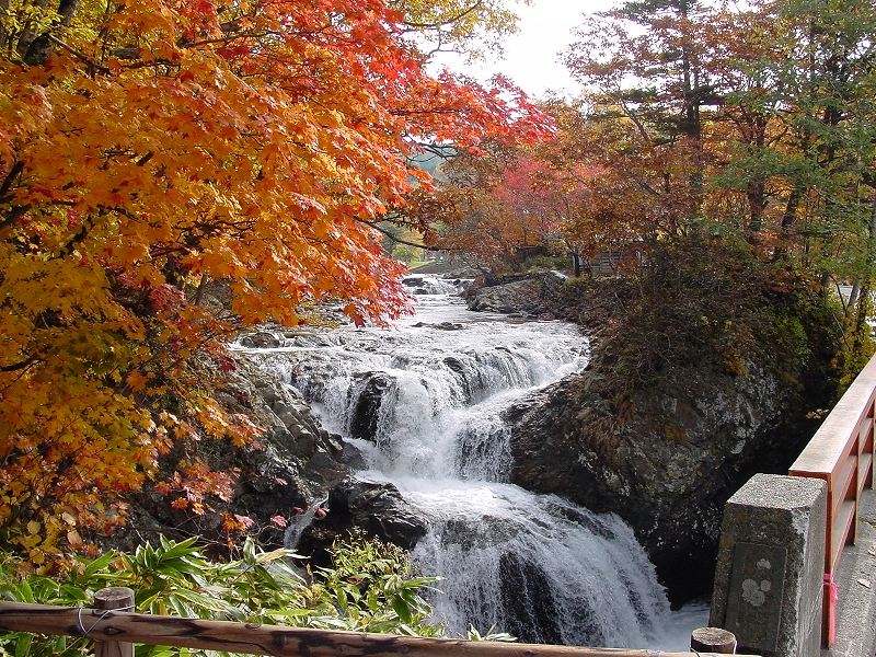 秋の紅葉シーズンの三階滝の風景