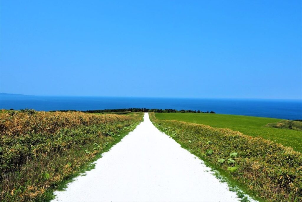青い空と海、緑の草花とのコントラストが美しい白い道