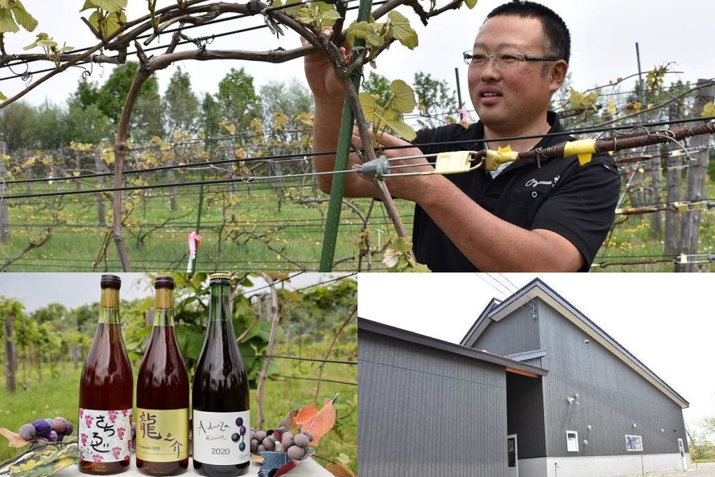 相澤ワイナリーでのブドウ畑でブドウを点検する関係者と、醸造しているワイン３種類、相澤ワイナリーの外観