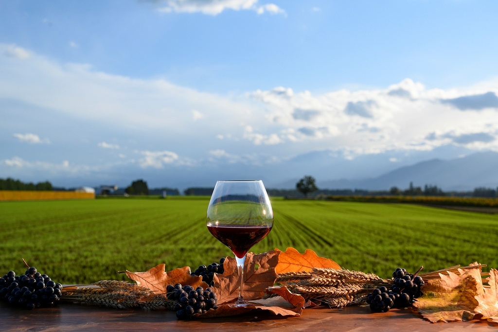 相澤ワイナリーでブドウを点検する関係者と醸造されたワイン３種、相澤ワイナリーの