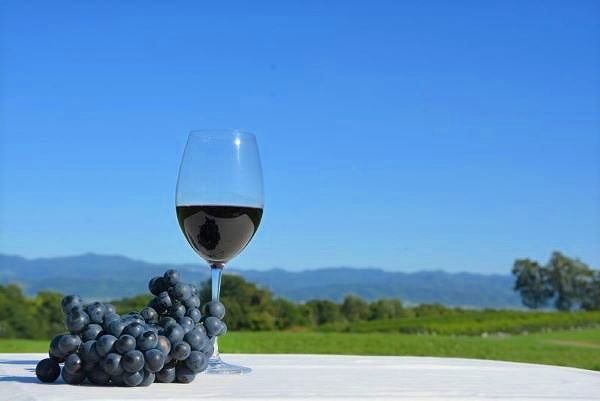 〈編集長のワイナリー巡り〉⑧北海道ワイン(小樽)　生産農家を思い 国産生ブドウを貫く