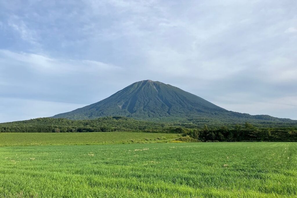 「蝦夷富士」と称される羊蹄山の雄大な姿