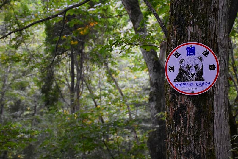 熊出没注意の看板