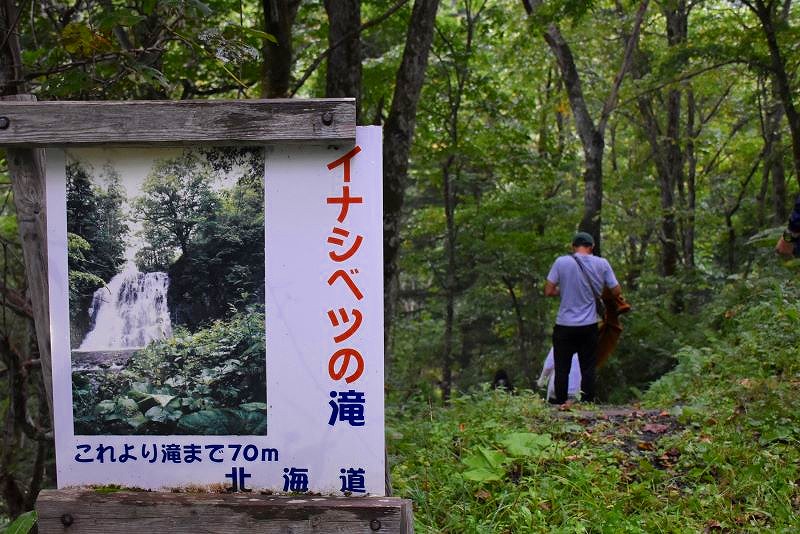 車で走れる林道の終点。この地点からは歩きに