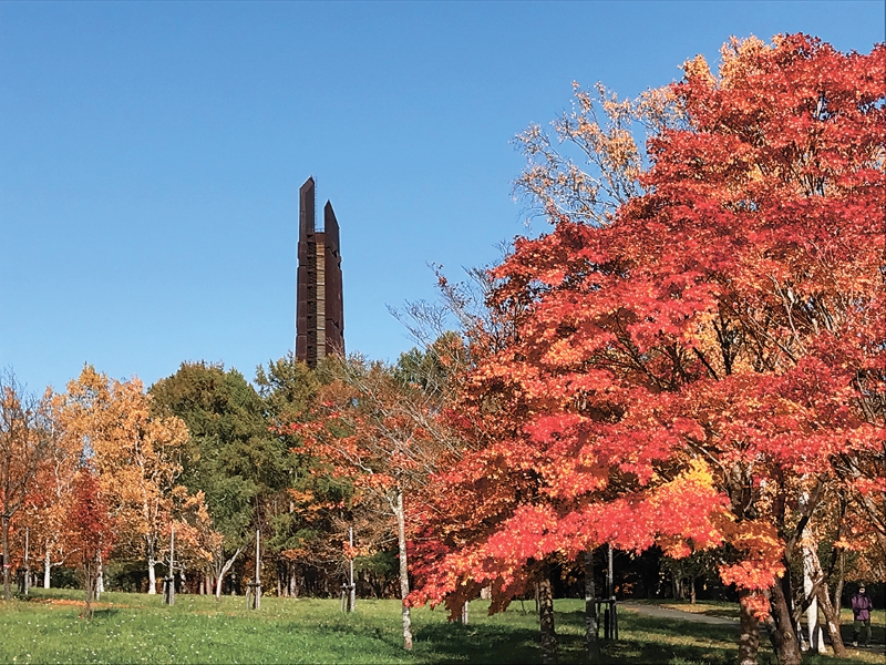 札幌で美しい紅葉に出合う＊秋を満喫