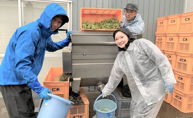 ワイナリーの蔵の外で、房から茎を取り除いて実をつぶす機械を使い作業する左から福光さん、三浦さん、山口さん