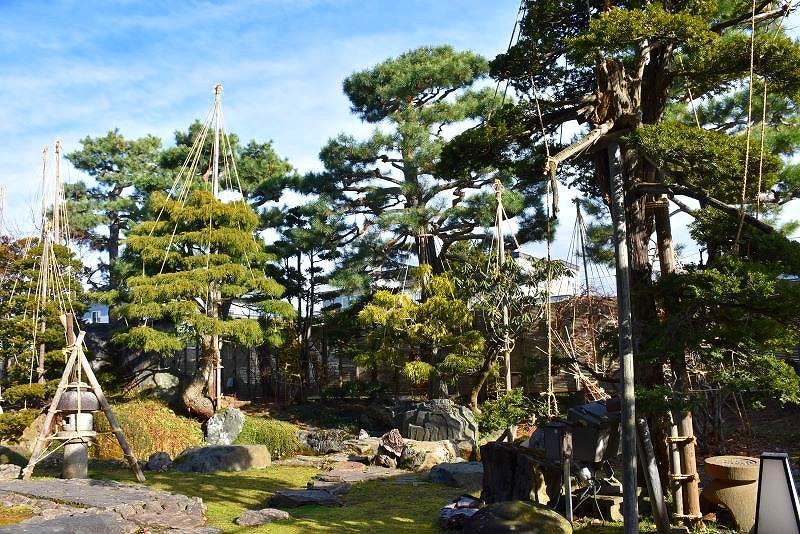 四季折々の美しさが見られる日本庭園