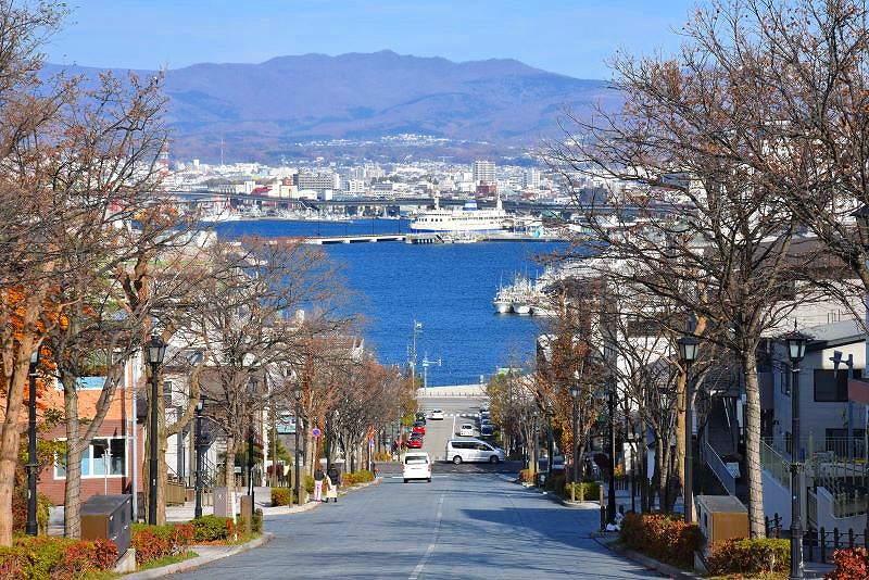 八幡坂から望む函館港の風景