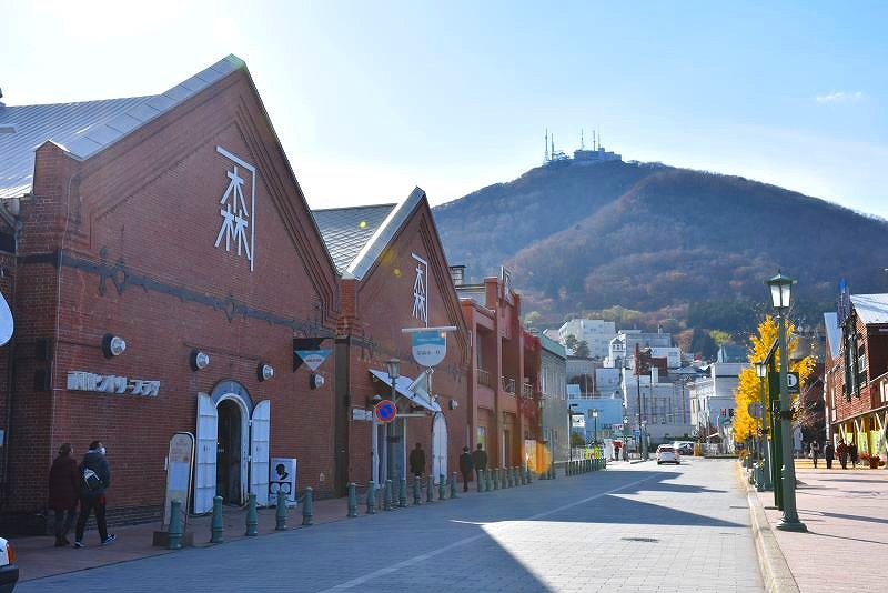 ベイエリアのレンガ倉庫街のイチョウ並木や遠くに見える函館山