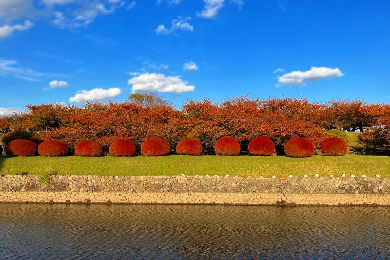 五稜郭公園の紅葉