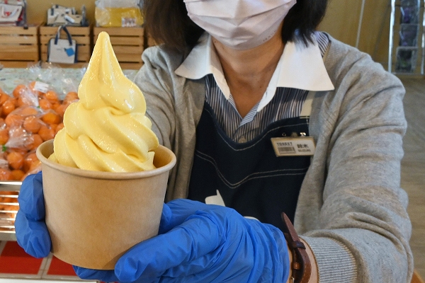 道の駅とうべつ　味と彩り楽しんで＊姉妹都市・宇和島のみかん「南津海」使用＊酸味爽やか「柑橘ソフト」＊「色がキレイ」　評判上々