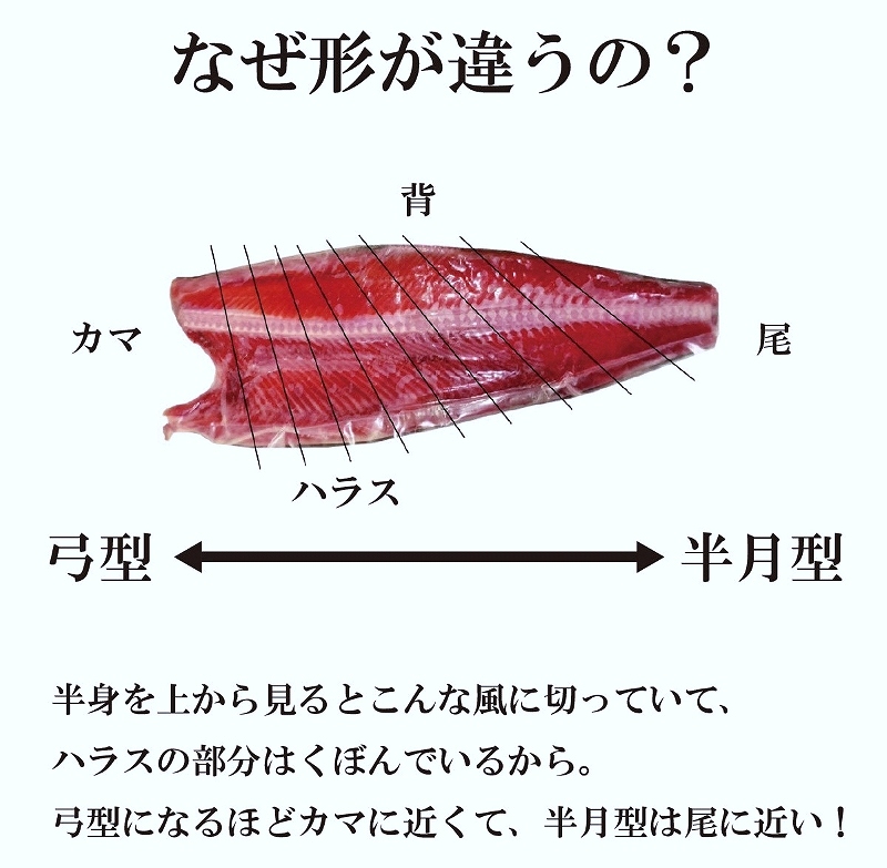 切り身の形の違いが生まれる理由を解説した画像（王子サーモン提供）