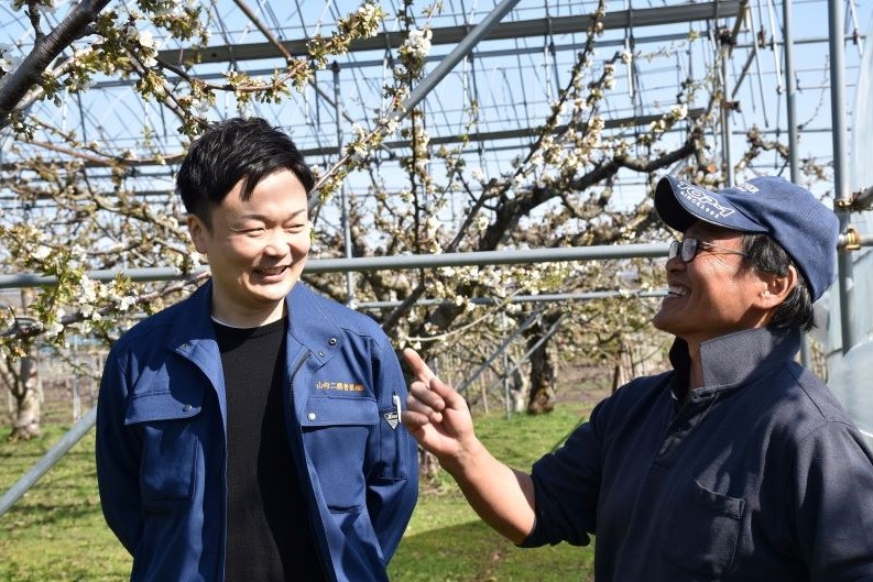 仁木町のサクランボをおいしさのピークで届けたいとクラウドファンディングにに挑戦する山内さん（左）と大久保さん