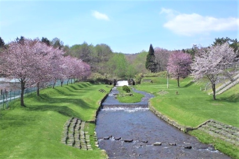 鹿部公園を流れる川