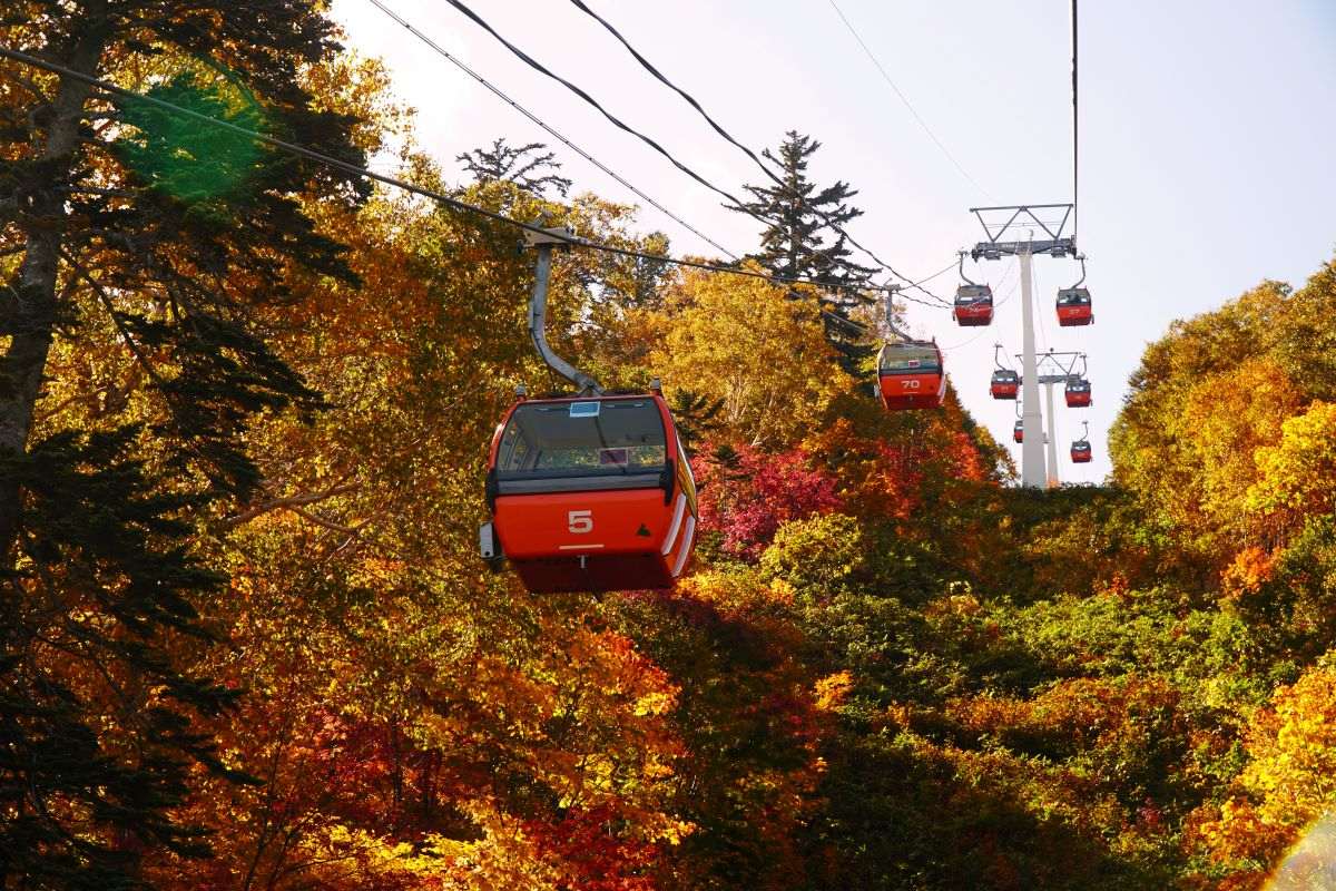 秋到来…紅葉の名所・札幌定山渓の今年の見ごろは？　ゴンドラ運行中の札幌国際スキー場に一足早く行ってみた