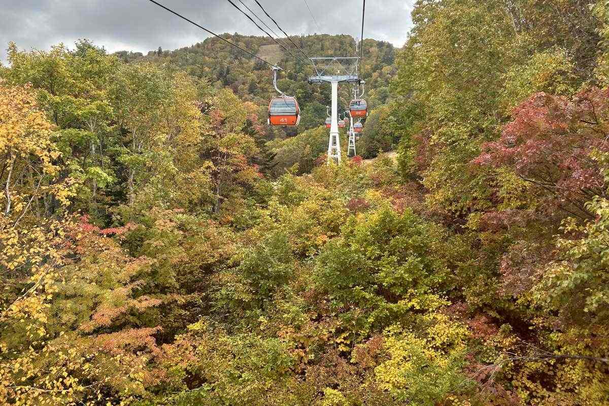 紅葉はもうピーク！ 札幌の名所・定山渓を再訪〈10/12〉～山頂は真っ盛り、温泉街もまもなく見ごろ