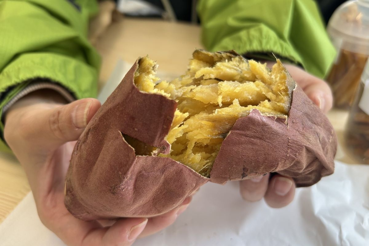 〝秋の味覚〟サツマイモを食べ比べ　「さっぽろ焼き芋テラス2023」開幕　11/5まで、札幌・中島公園で