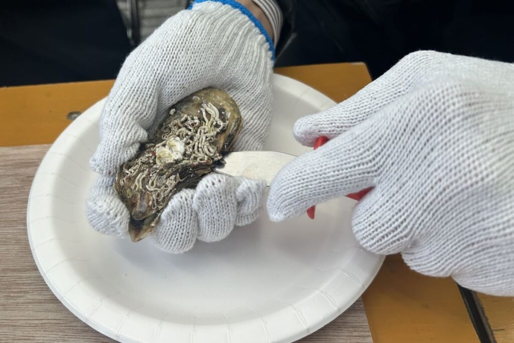 貝むきナイフでカキを開く様子