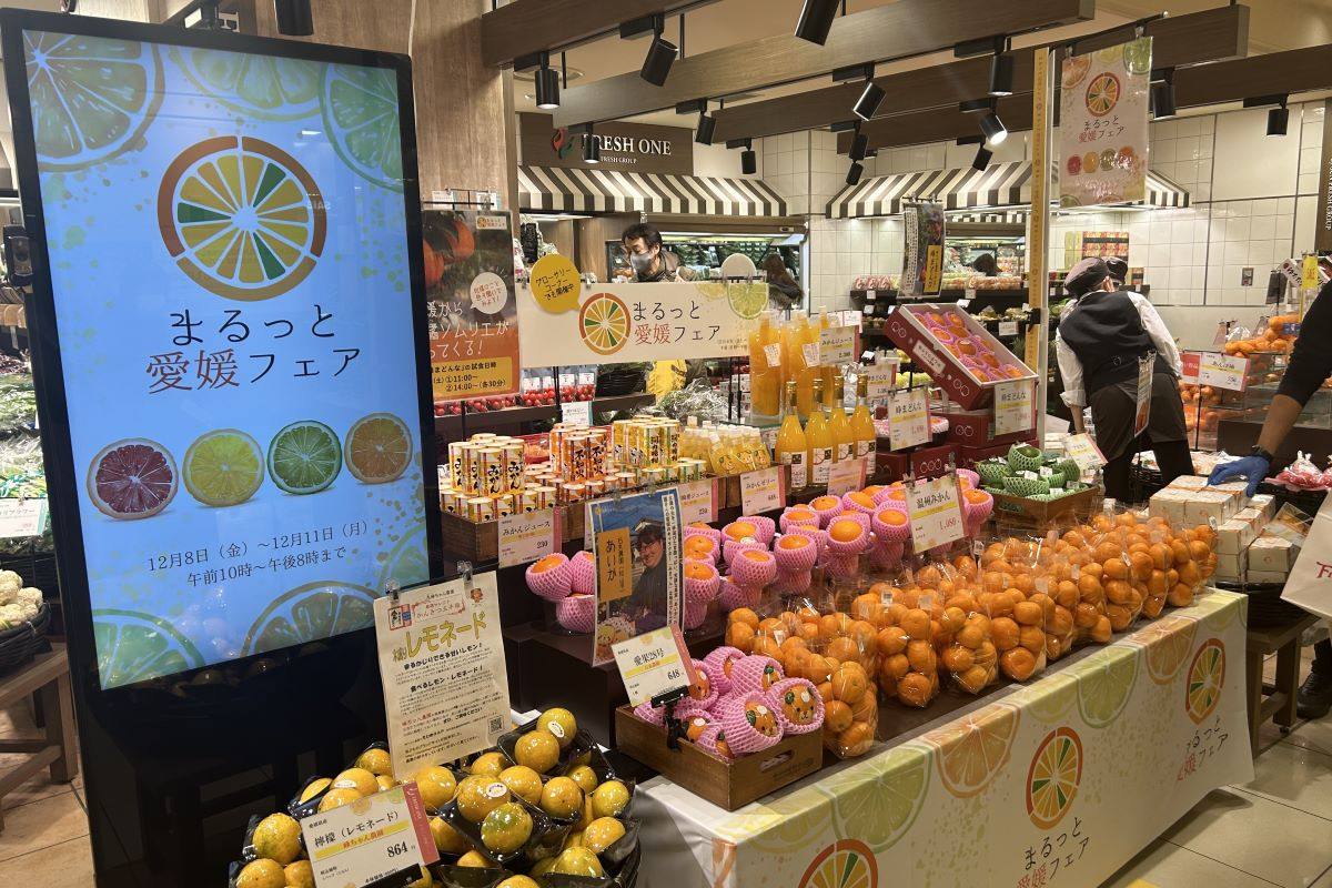 「まるっと愛媛フェア」開幕　フレッシュな柑橘やジュース　12/11（月）まで大丸札幌店で