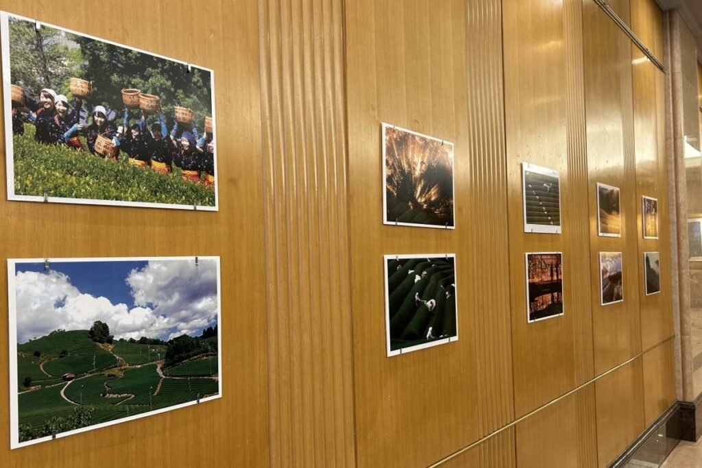 会場に掲示されている、茶畑や茶摘み、和束町の風景などを紹介する写真パネル