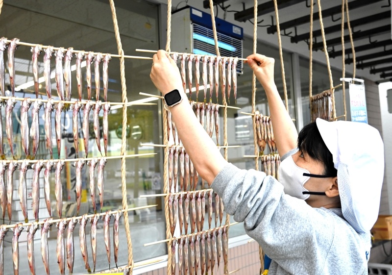 カネダイ大野商店の軒先につるされるシシャモ