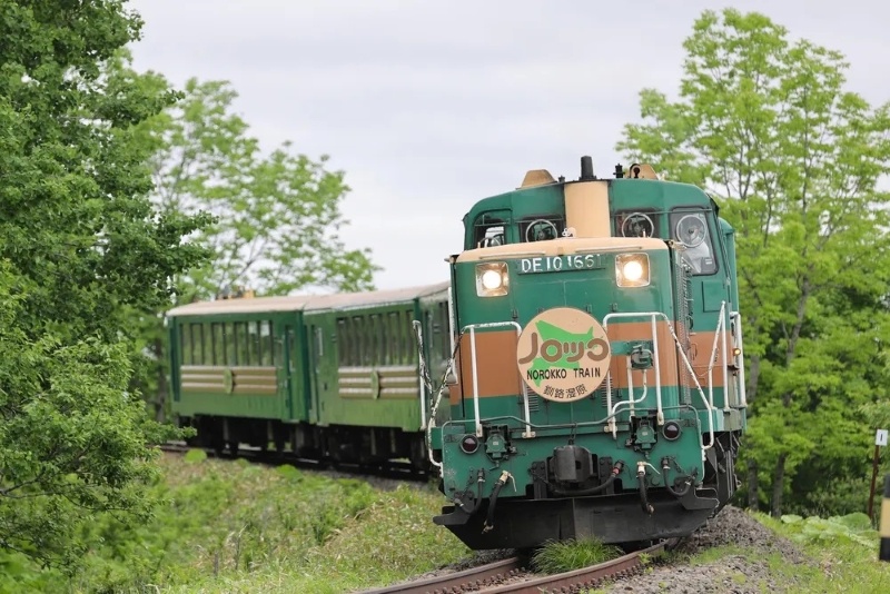 希少品2021くしろ湿原ノロッコ釧網本線全通90周年記念レプリカサボ新品