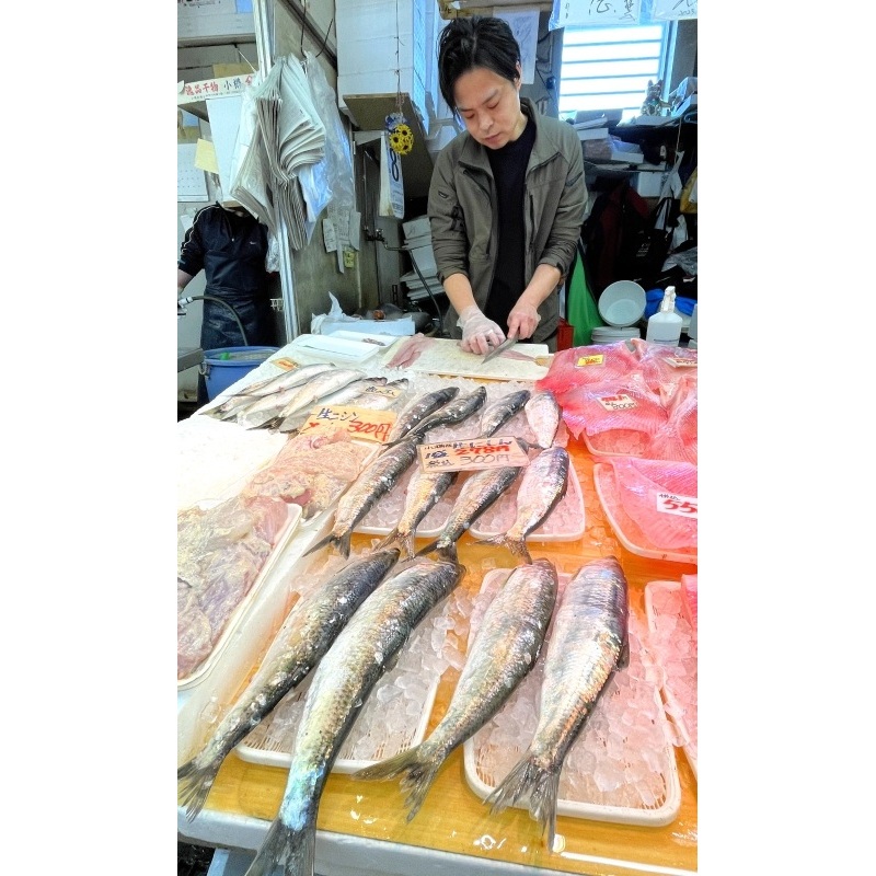 小樽市内の鮮魚店に並ぶ銀色に輝くニシン
