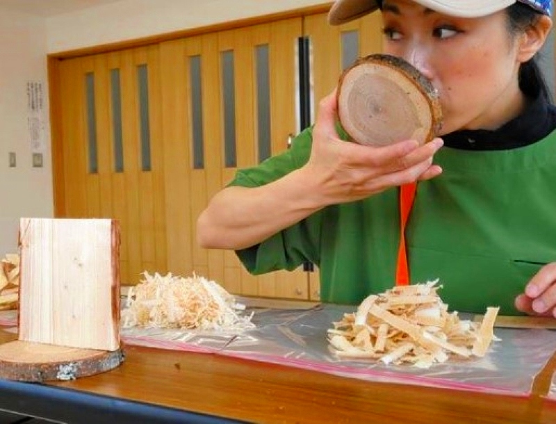 クラフトビールの香り付け試験に向け、支笏湖畔産の木材を選定する佐藤さん