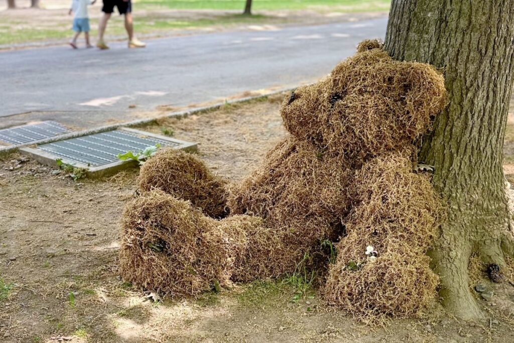 枯れた葉や花の房などを積み上げてつくった「モジャクマ」