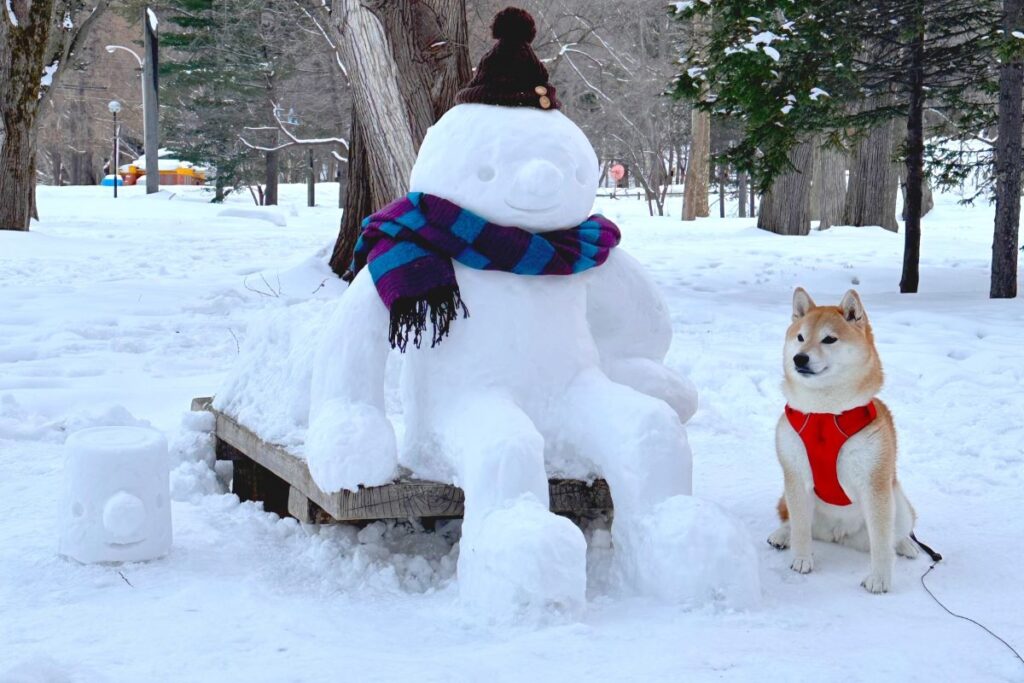 散歩中のイヌと記念撮影した雪ボーイとバケツ太郎