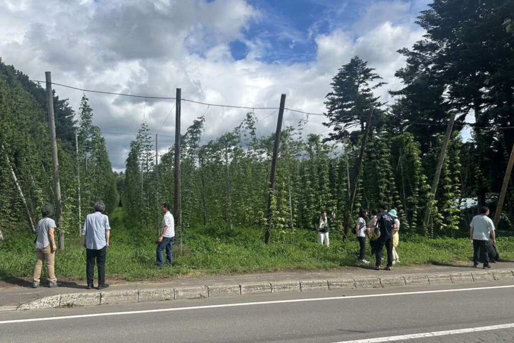 住宅街の横に広がるホップ畑