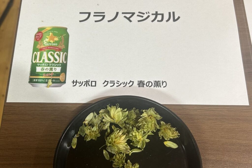 「サッポロクラシック春の薫り」などに使われるホップの品種「フラノマジカル」