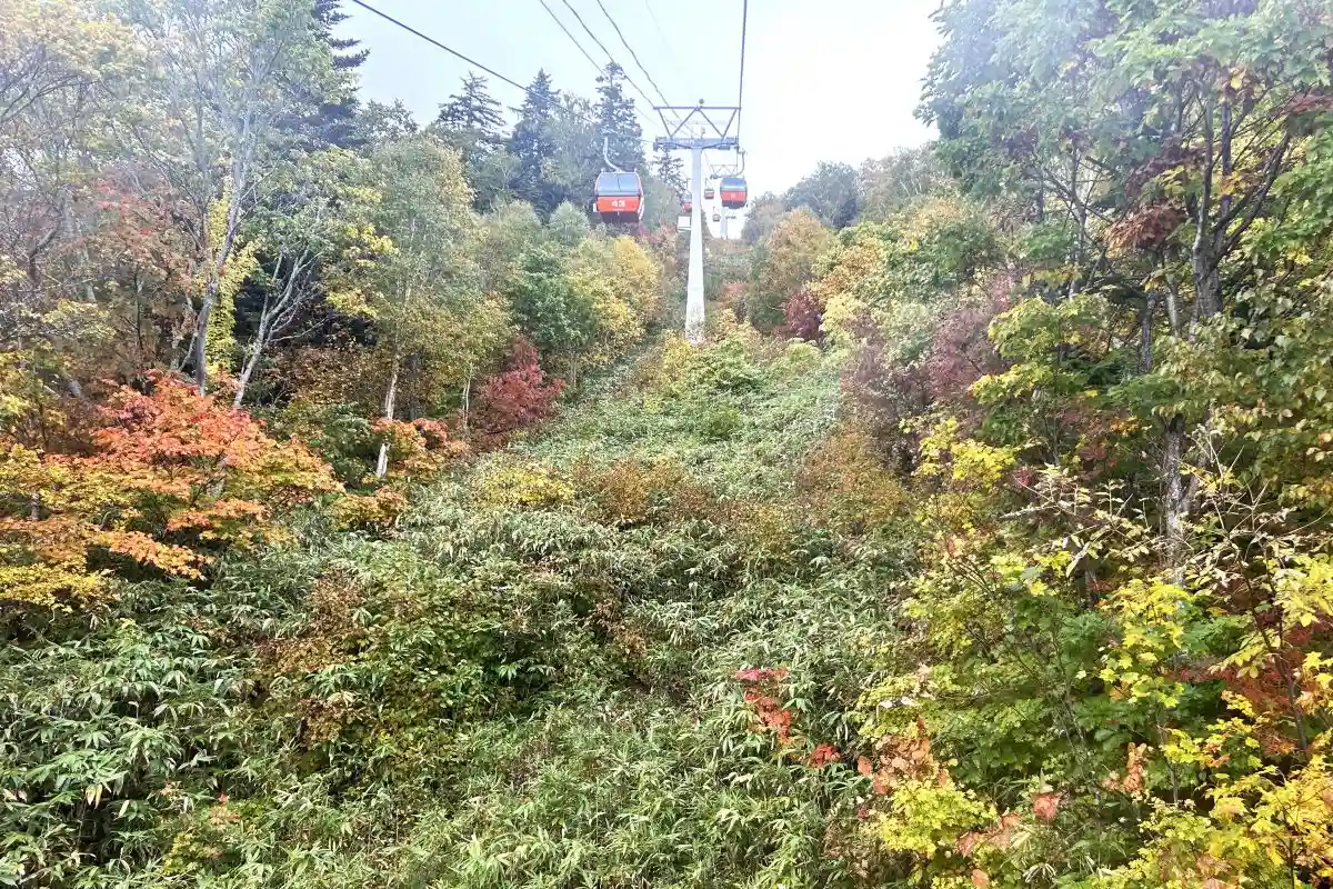 深まる秋…札幌定山渓の紅葉は10月中旬が見ごろ？　｢紅葉ゴンドラ｣運行、秋祭りも開催中