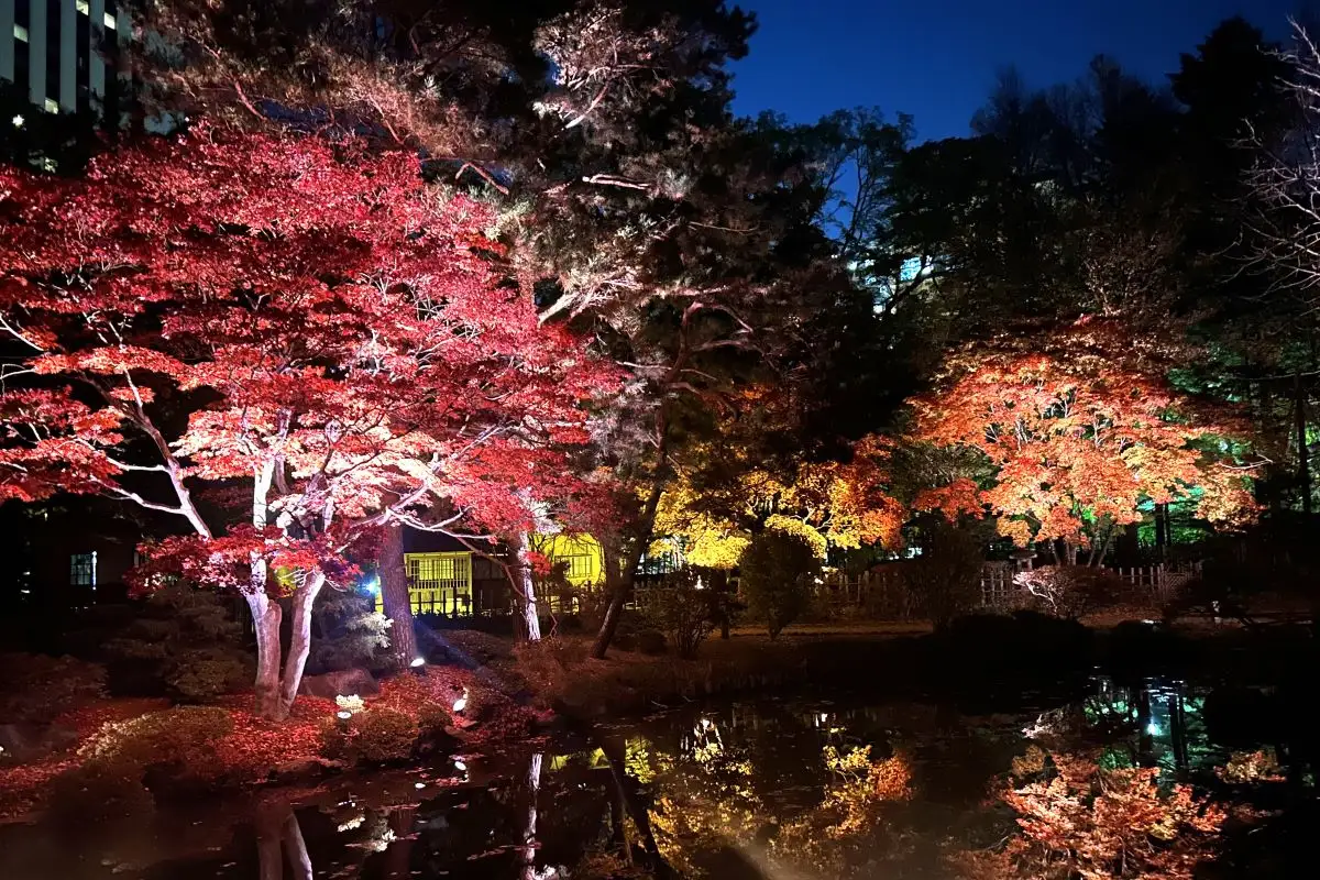 札幌・中島公園の紅葉ライトアップ「SAPPORO AUTUMN ILLMINATIONS」　11/3まで　芸妓の演舞や点茶も