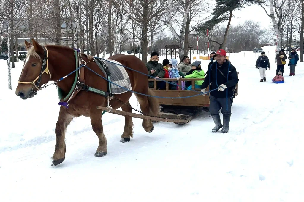 雪原を周回する馬そり