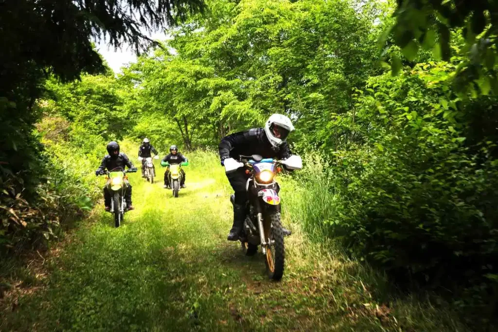森を切り裂くようにオフロードのコースを駆け抜けるライダーたち