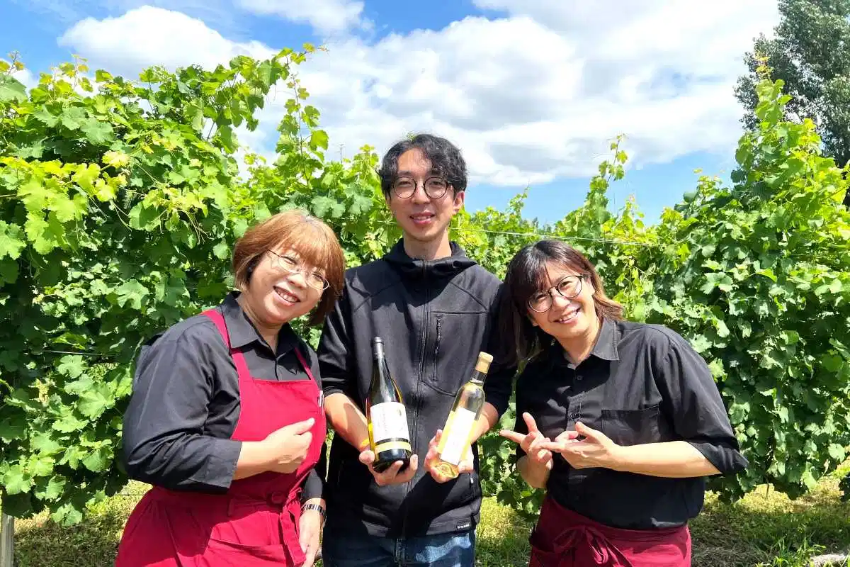 日本ワインコンクール＊貴腐　中富良野ケルナー金賞＊丁寧に選別、仕込み　甘さ濃厚＊ドメーヌ・レゾン　2年連続の快挙