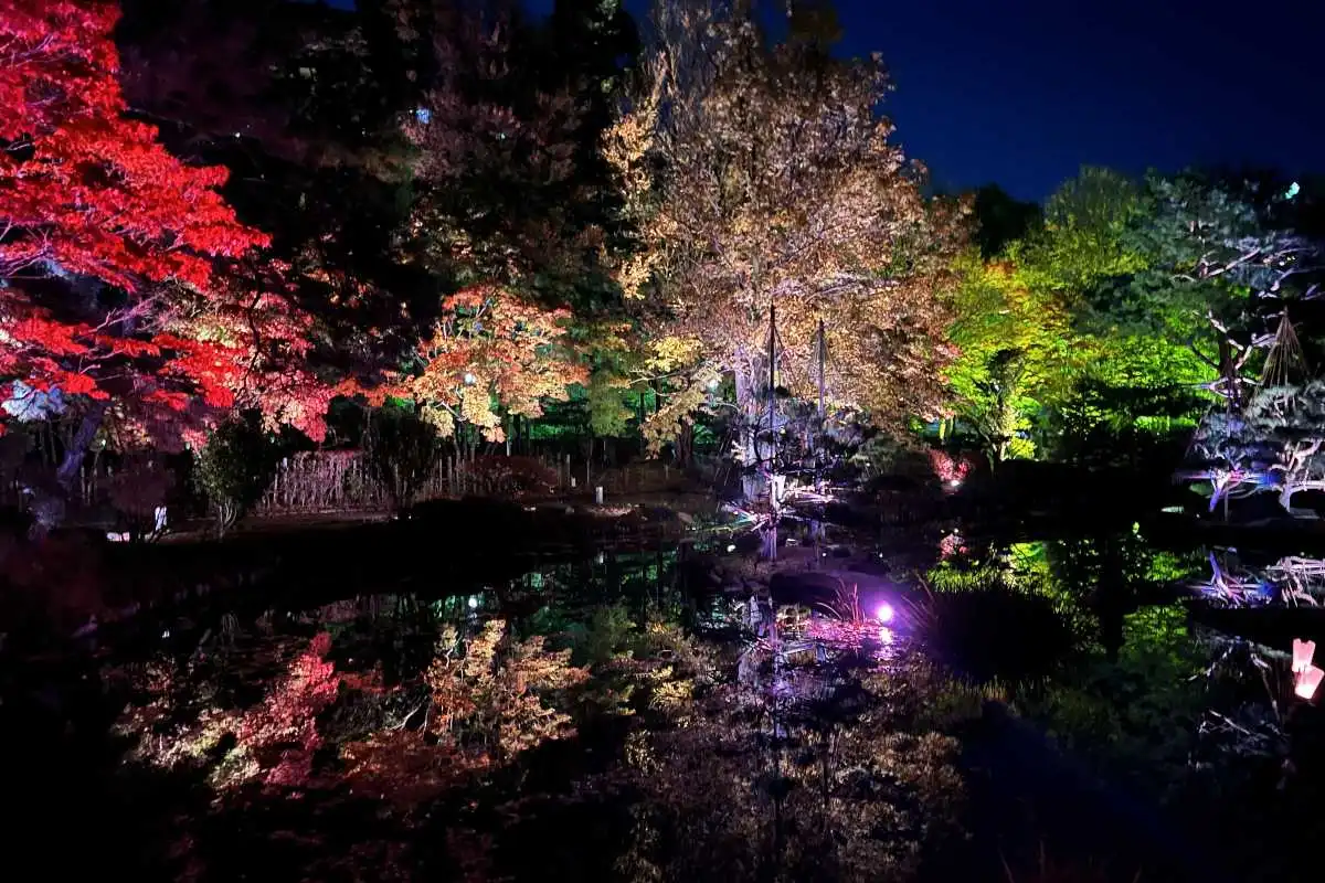 【初日レポ】「SAPPORO AUTUMN ILLUMINATION（さっぽろオータムイルミネーション）」開催！中島公園の紅葉をライトアップ 11/3まで