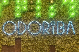 札幌4丁目プレイスの「4PLA」地下1階に10/9(木)、飲食店街「OODORiBA 大通バル」オープン！「昼飲みもできるバル街」で、8店が営業開始