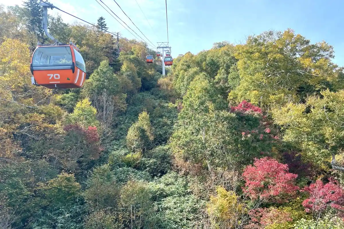 2025年、札幌・定山渓の紅葉情報！ 今週末（10/11～10/13）が見ごろ？ 札幌国際スキー場では「紅葉ゴンドラ」運行、「秋祭り」10/19(日)まで開催中