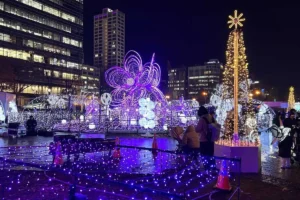 「2025さっぽろホワイトイルミネーション」開幕！77万個の光で彩られる冬の札幌 中心部5会場で