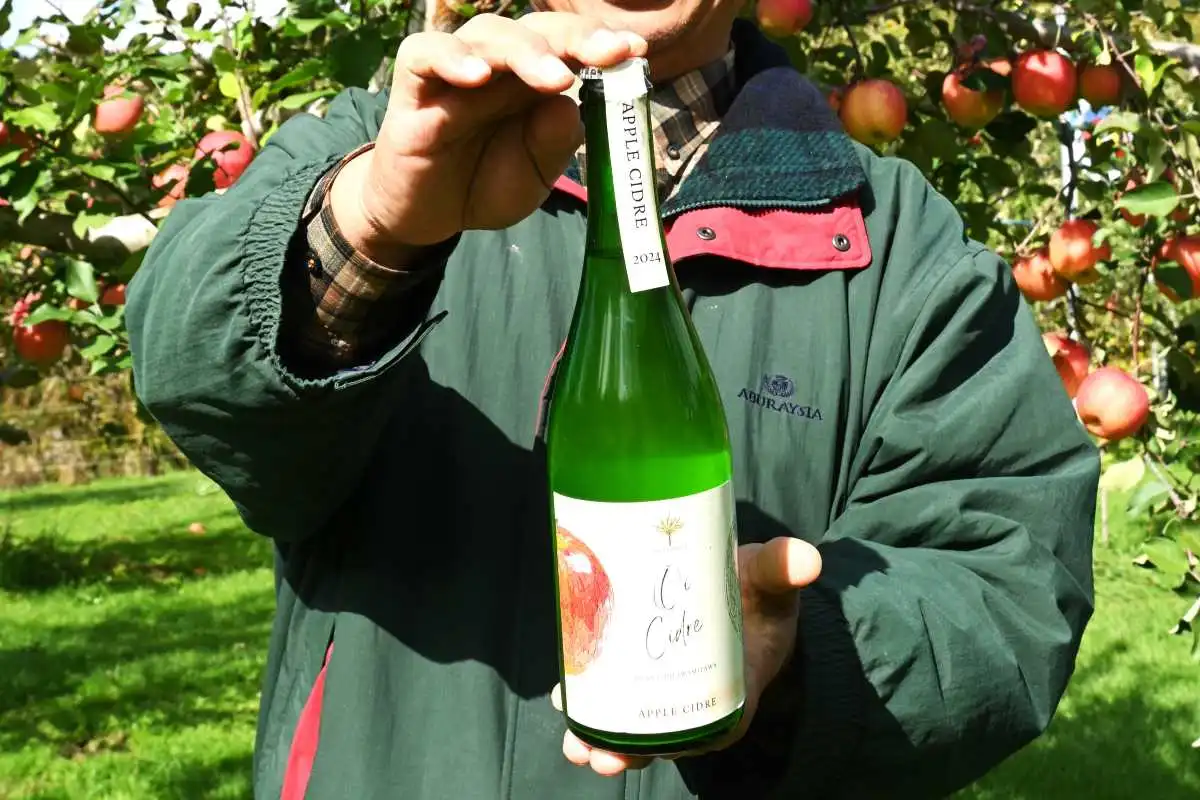 岩見沢初　シードルお目見え＊長坂果樹園のリンゴ原料に＊「爽やかで新鮮な味わい」＊三笠のワイナリーに醸造委託