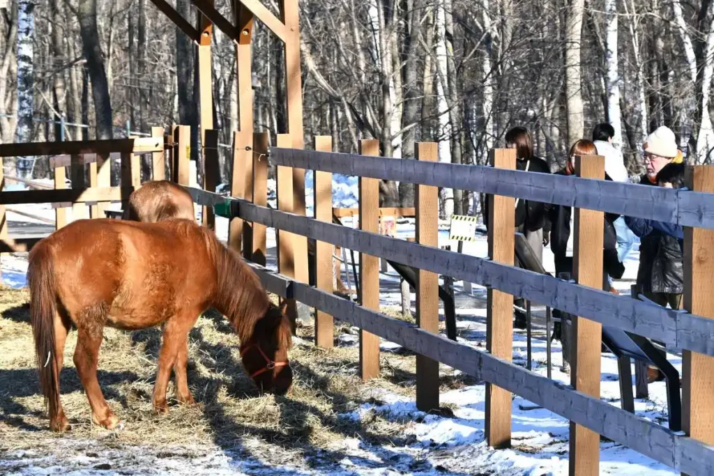 冬期開園初日に合わせ、お披露目されたドサンコ