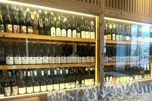 小樽と周辺の食や観光を楽しもう！小樽港に寄港したクルーズ船乗客対象のモニターツアーに参加しました　見どころを紹介します㊦岩内町、余市町編