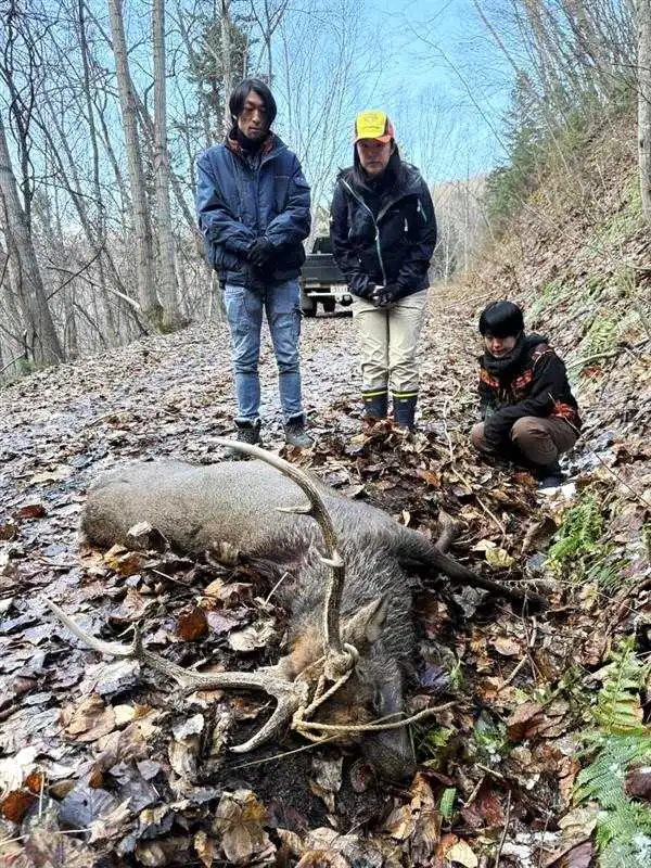 仕留められたエゾシカを見つめるモニターツアー参加者