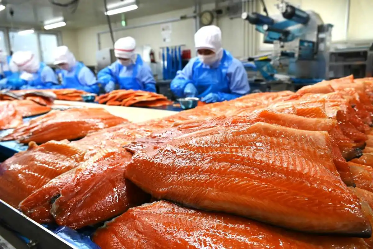 〈マチのこだわり味自慢〉王子サーモン北海道工場直営店＝苫小牧市＊香る燻煙　広がるうまみ