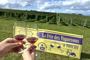 「ラフェト2025」に参加しました！余市のブドウ畑を歩いて巡り、ワインと食、秋の風を楽しむ祭典